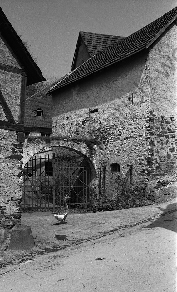 Kobern,Burgmühle im Mühlental, heute Alte Mühle Thomas Höreth, 1958, Heinrich Wolf Frühling an der Mosel